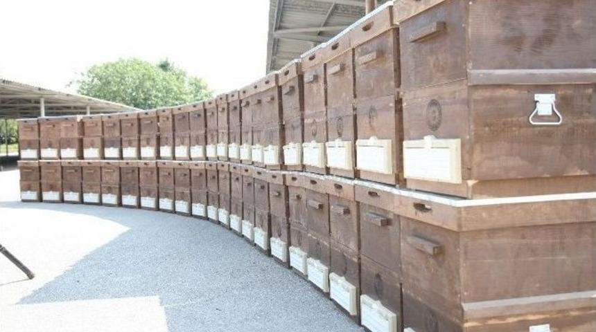B&uuml;y&uuml;kşehir&rsquo;den &Uuml;reticiye 450 Arı Kovanı