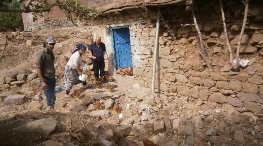 Sason&rsquo;da Tavuk &Ccedil;iftliği A&ccedil;ıldı