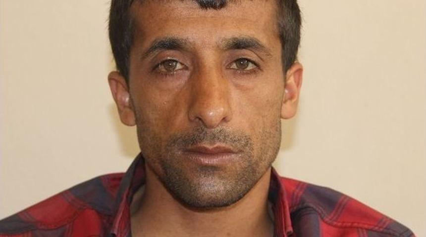 Kardeşini Yaşatmak İ&ccedil;in Fındık İş&ccedil;iliği Yapıyor