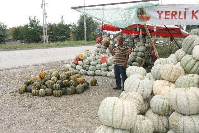 Düzce Kabağı D-100 Karayoluna Çıktı