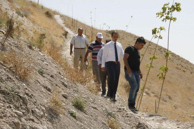 Beypazarı'na Yamaç Paraşütü Eğitim Pisti Yapılacak