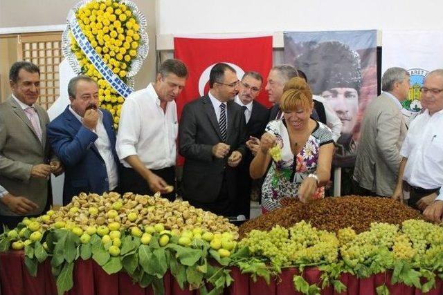 Kuru Üzüm Ve Kuru İncir İhracat Geliri 700 Milyon Doları Buldu 1