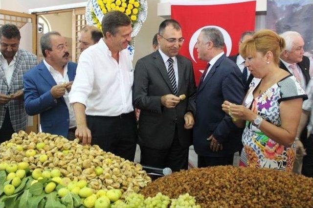 Kuru Üzüm Ve Kuru İncir İhracat Geliri 700 Milyon Doları Buldu 2