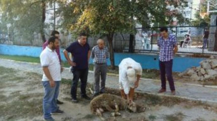 G&uuml;neşspor Yeni Sezonu A&ccedil;tı