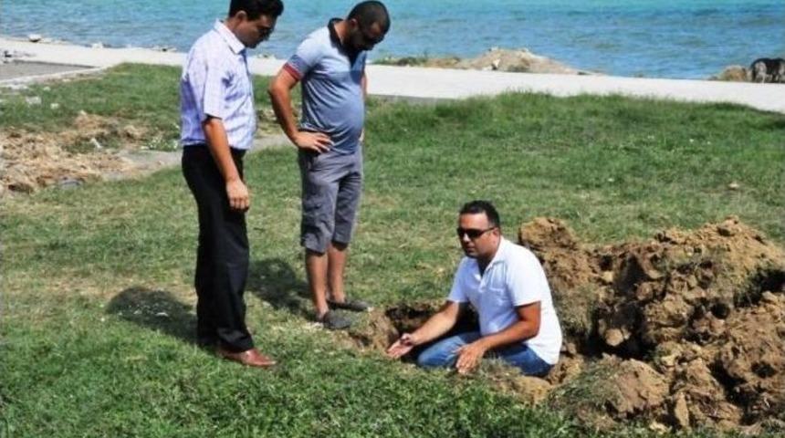 Tekirdağ Altınova Sahil Şeridinde Sona Gelindi