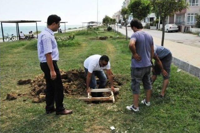 Tekirdağ Altınova Sahil Şeridinde Sona Gelindi