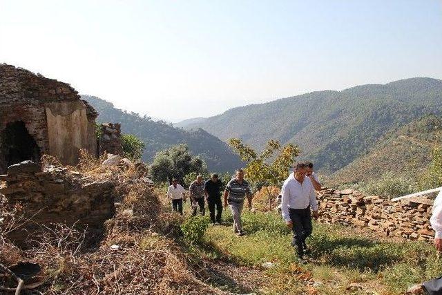 Başkan Sesli’den Hisarlık’a Üzüm Festivali Müjdesi!