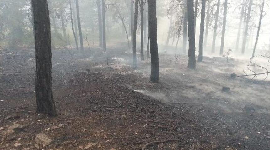 K&uuml;tahya Emet&rsquo;te Orman Yangını