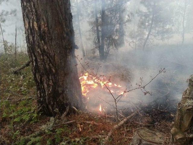 Kütahya Emet’te Orman Yangını