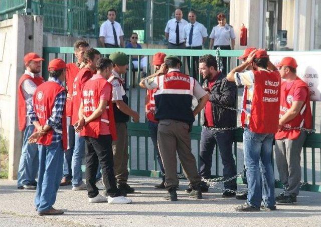 Hurdaya Dönen Araçlardan Yaralı Kurtuldular