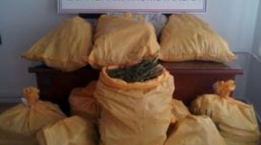 Jandarma&rsquo;dan Esrar Operasyonu