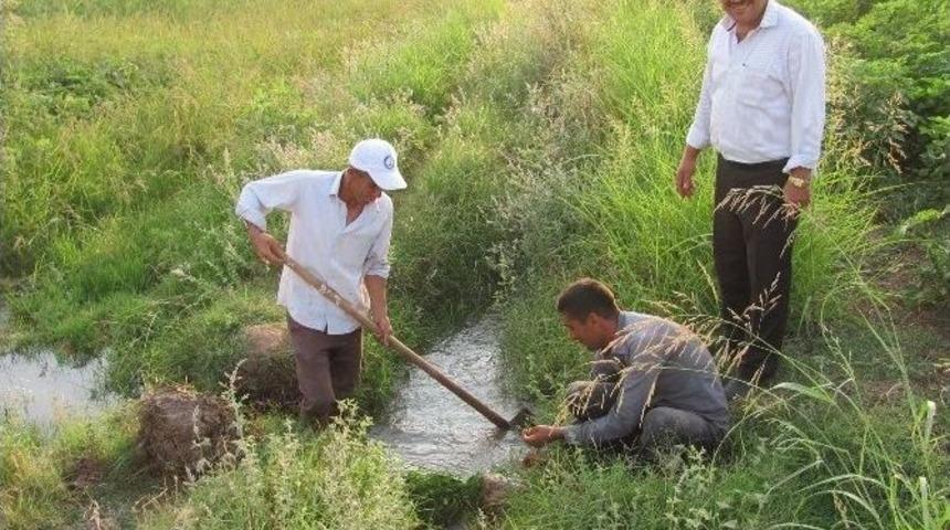Milletvekili Erdoğan: &ldquo;ardıl Barajı Sulama Kanalları İhalesi 9 Eyl&uuml;l 2014 Tarihinde Yapılacak&rdquo;