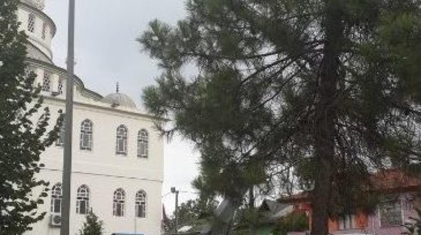 K&ouml;sek&ouml;y Kent Park Aydınlatıldı