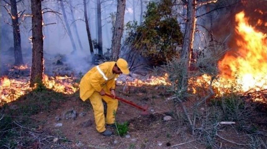 Piknikçilere Yangın Uyarısı