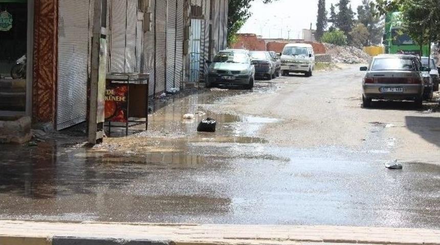 Ş&uuml;pheli Poşetten &Ccedil;&ouml;p &Ccedil;ıktı