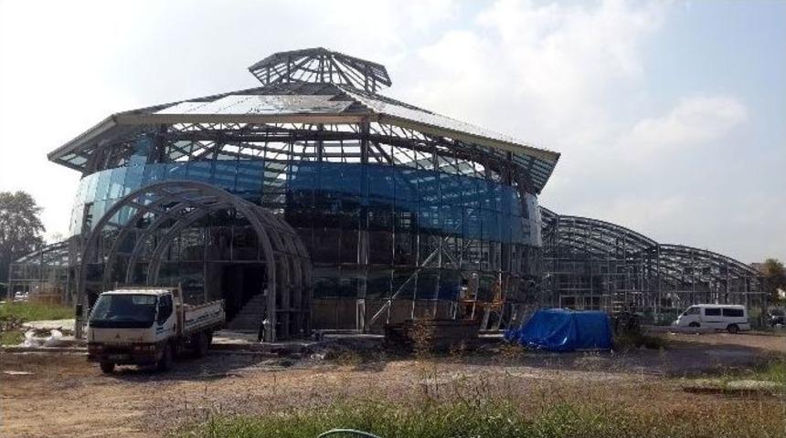 D&uuml;nyanın En B&uuml;y&uuml;k Bitki Bah&ccedil;esi G&uuml;n Sayıyor