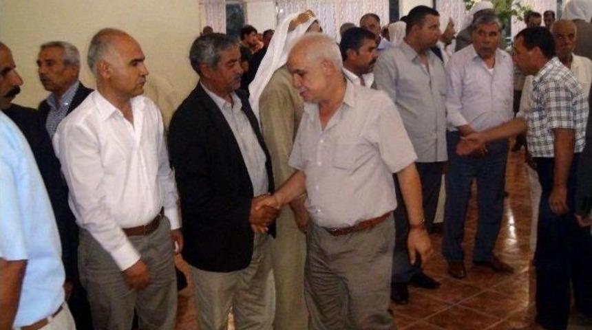 Kavgalı Aileler, Barıştırıldı