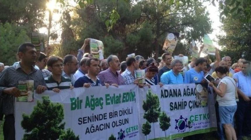 "halk Meclisi"nden Ağa&ccedil;lar İ&ccedil;in Referandum &Ccedil;ağrısı