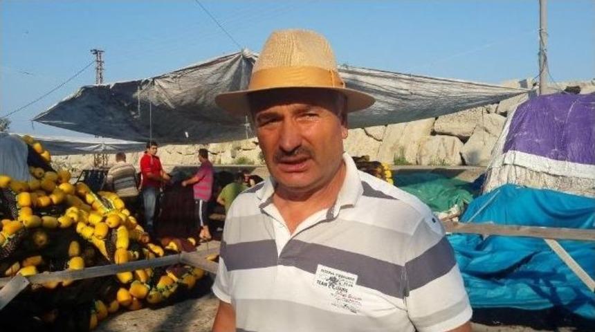 Balık&ccedil;ılar: &ldquo;t&uuml;rk Halkı Bol Ve Ucuz Balık Yiyecek&rdquo;