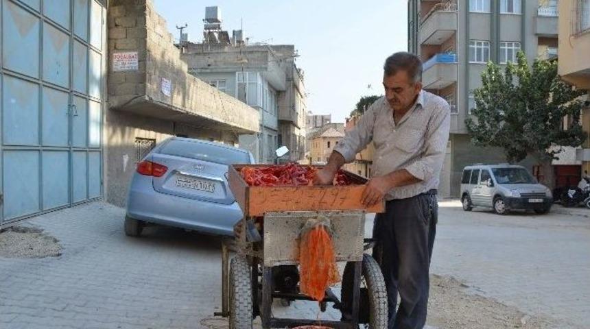 Biber Sal&ccedil;ası Yapma Geleneği S&uuml;r&uuml;yor