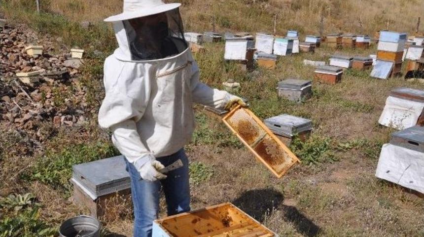 Tunceli&rsquo;de Bal Sağım Zamanı