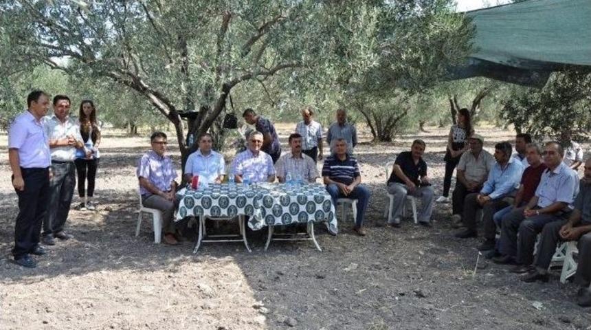 Tarla Eğitimlerine Hızla Devam Ediliyor