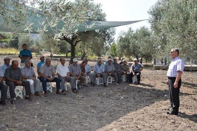 Tarla Eğitimlerine Hızla Devam Ediliyor