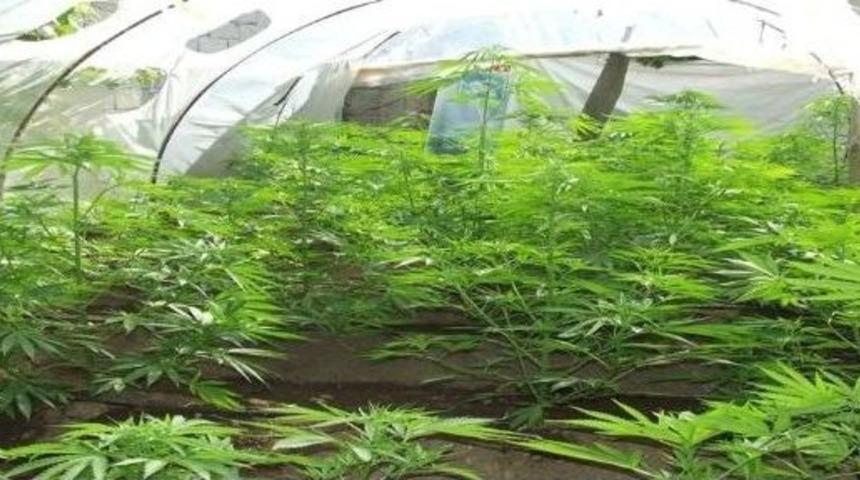 Denizli&rsquo;de Uyuşturucu Operasyonu: 3 Tutuklama