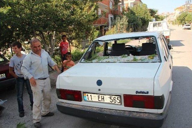 Bilecik’te Otomobilin Üstüne Ağaç Dalı Devrildi