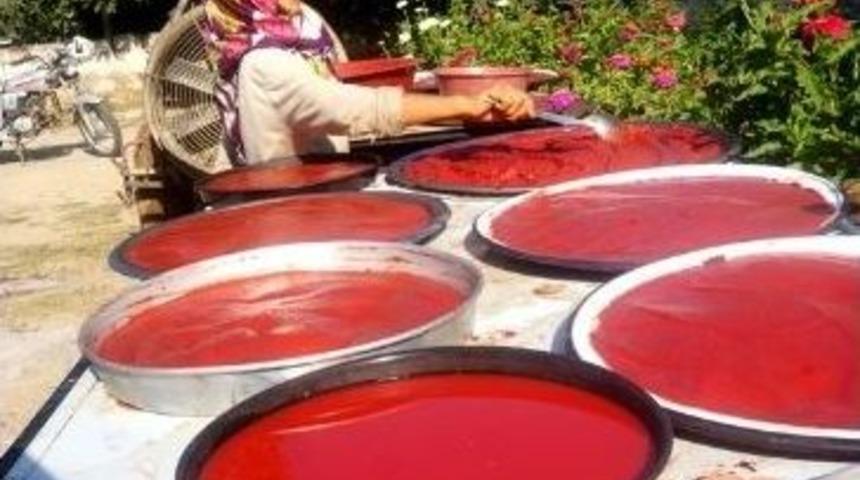 Melek Nine&rsquo;nin Sal&ccedil;a Tutkusu