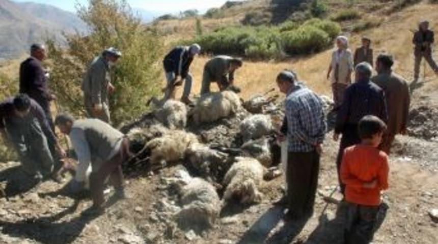Hakkari&rsquo;de Kurt Dehşeti