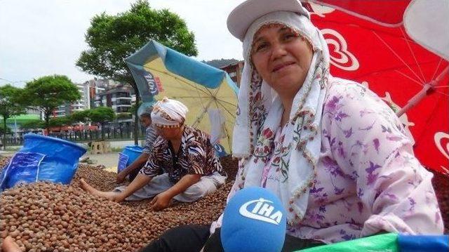 Ulusal Fındık Konseyi’ne Giresun Ziraat Odası’ndan Cevap