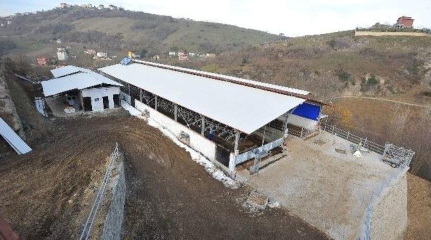 T&uuml;rkiye Genelinde Kırsal Turizmi Desteklemede Trabzon Birinci Sırada