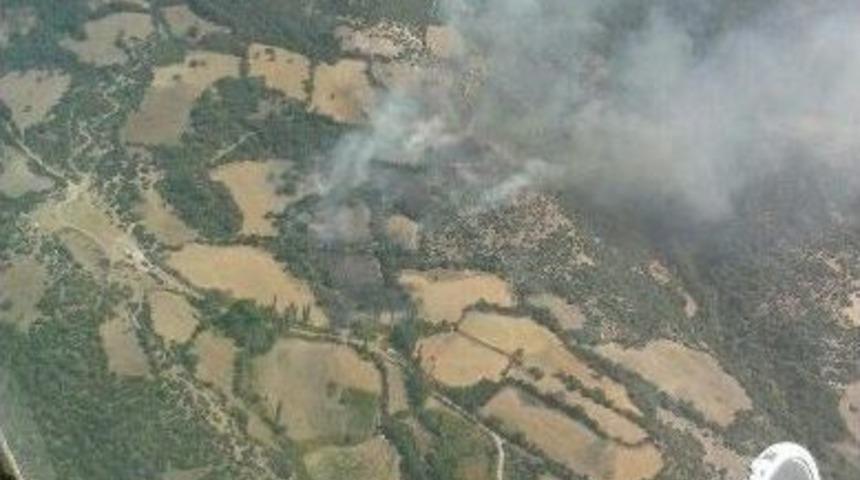 Balıkesir&rsquo;de Orman Yangınları
