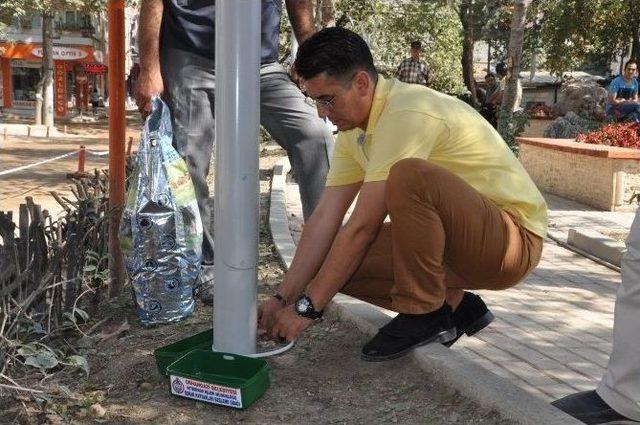 Sokak Hayvanlarına Beslenme Kabı