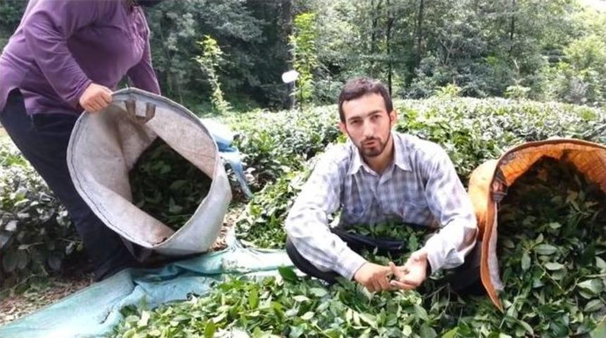 Rizeli Vatandaş &Ccedil;ay Parasına Dikkat &Ccedil;ekmek İ&ccedil;in İlgin&ccedil; Yola Başvurdu