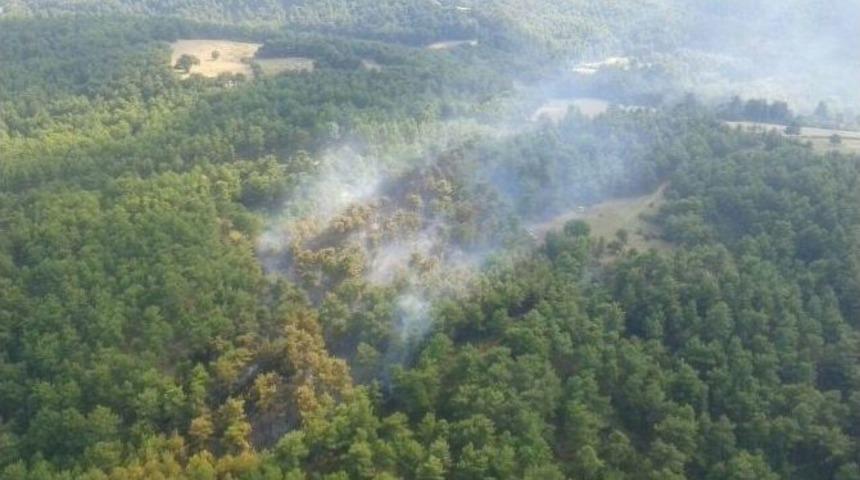 &Ccedil;anakkale&rsquo;deki Yangın Kontrol Altında