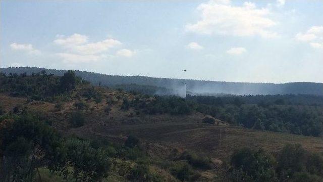 Çanakkale’deki Yangın Kontrol Altında