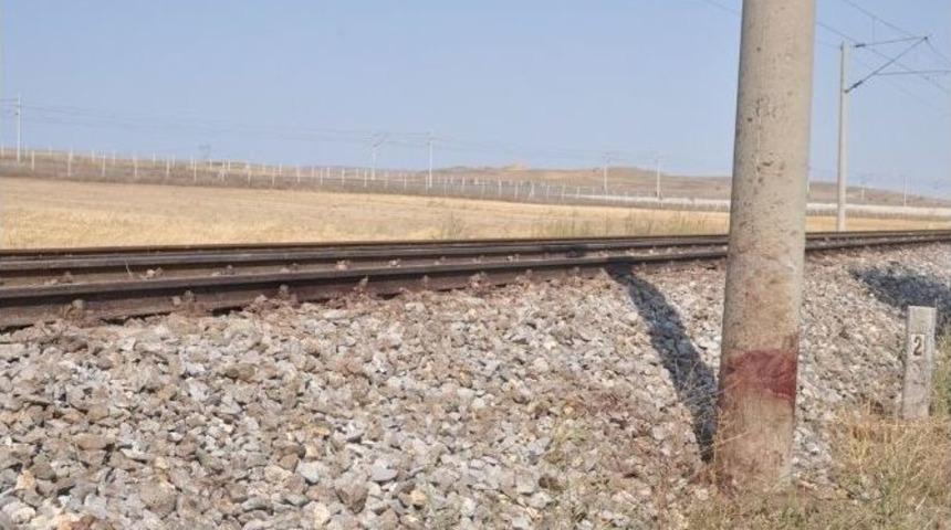 Lokomotif &Ccedil;obana Ve Hayvan S&uuml;r&uuml;s&uuml;ne &Ccedil;arptı