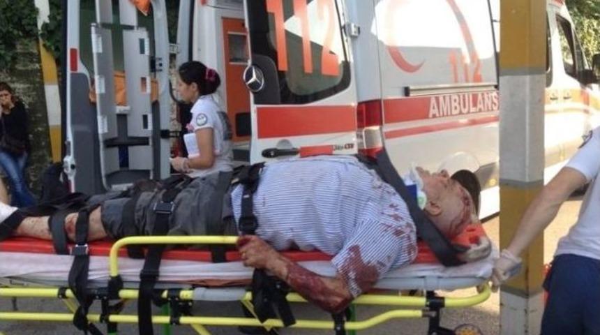 Uludağ Yolu&rsquo;nda Can Pazarı...(2)