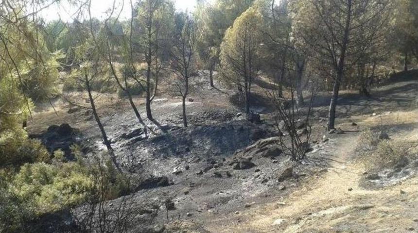 Kiraz Ve &Ouml;demiş&rsquo;te Korkutan Yangınlar