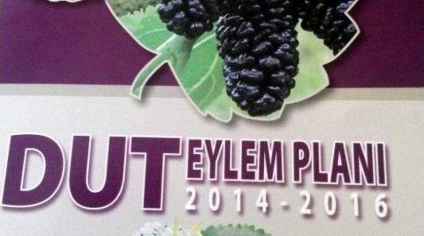 Adıyaman&rsquo;da Dut Eylem Planı Ger&ccedil;ekleştirilecek