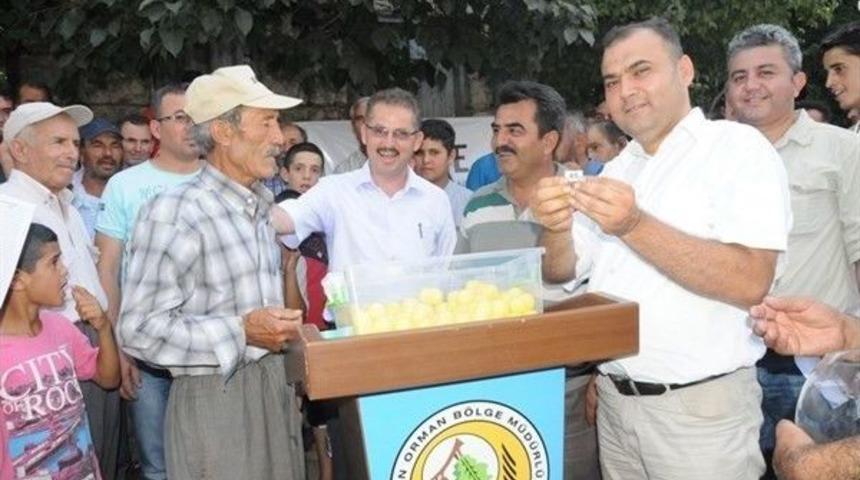 Orman K&ouml;yl&uuml;lerine Defne Dağıtımı Yapıldı