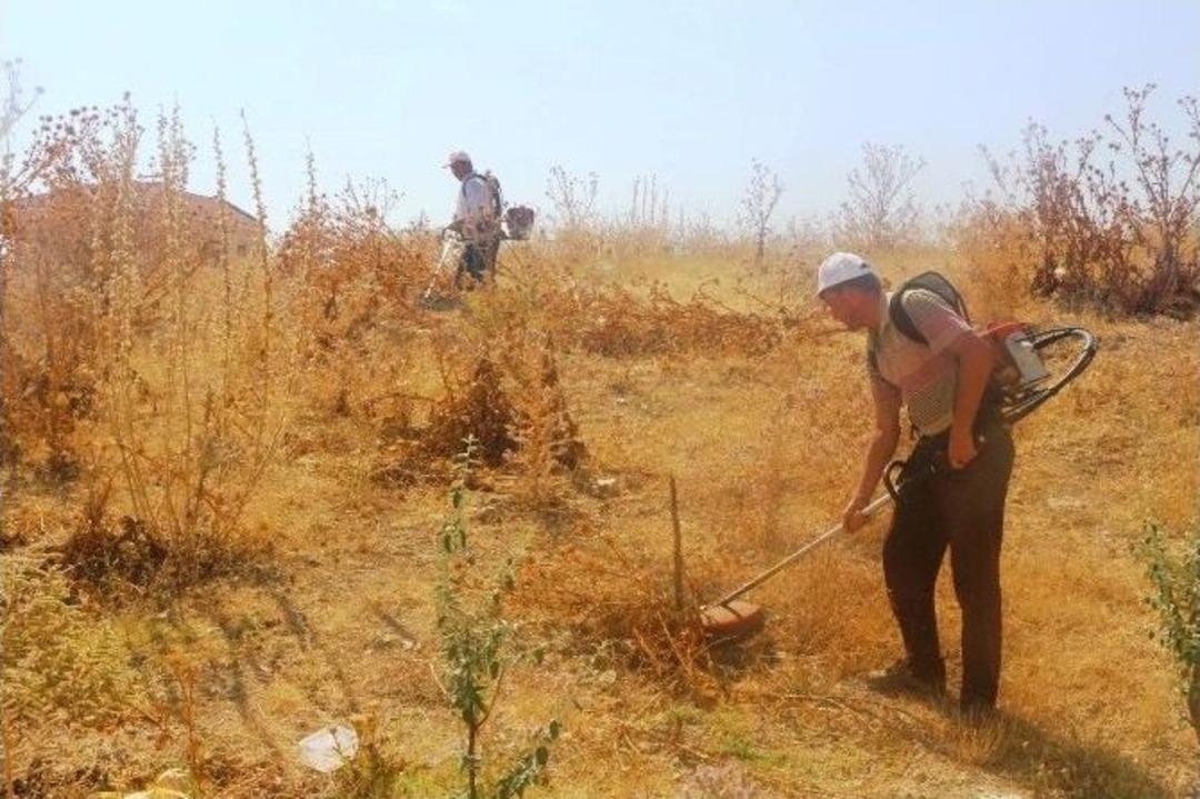 Belediye, Yangın İhtimaline Karşı Kuru Otları Temizliyor