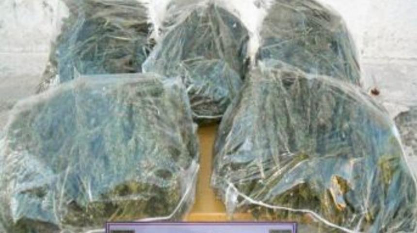 Kilis&rsquo;te 27 Kilo Esrar Ele Ge&ccedil;irildi