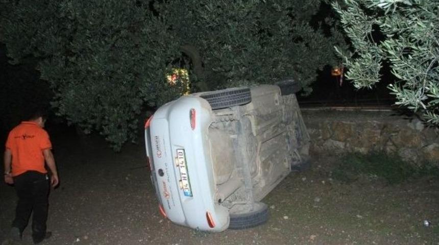 Virajı Alamadı, Tarlaya U&ccedil;tu