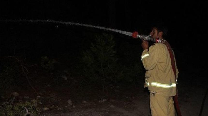 Buldan&rsquo;daki Yangında 5 Hektarlık Alan Zarar G&ouml;rd&uuml;