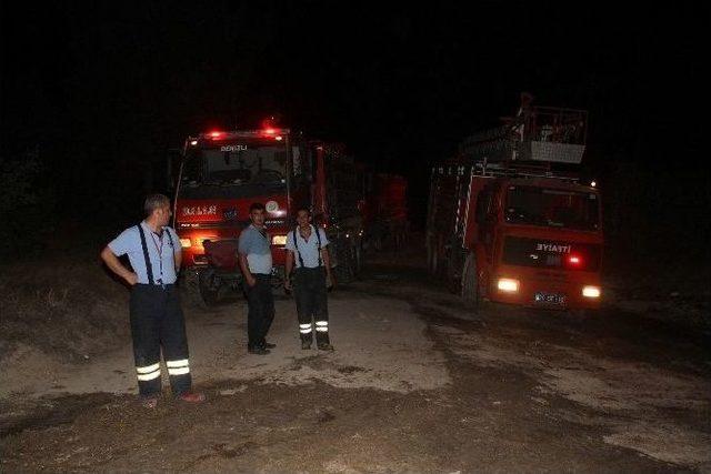 Buldan’daki Yangında 5 Hektarlık Alan Zarar Gördü