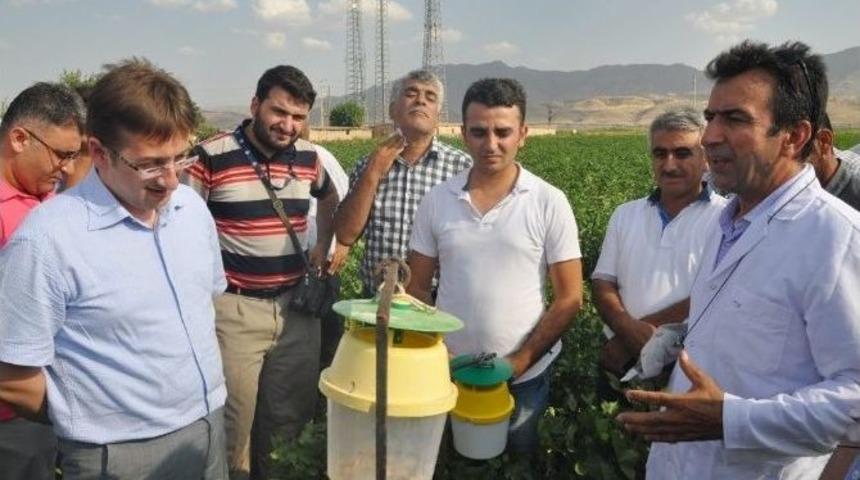 Silopi&rsquo;de &Ccedil;ift&ccedil;iler Pamuk Entegre M&uuml;cadele Sistemi Hakkında Bilgilendirildi