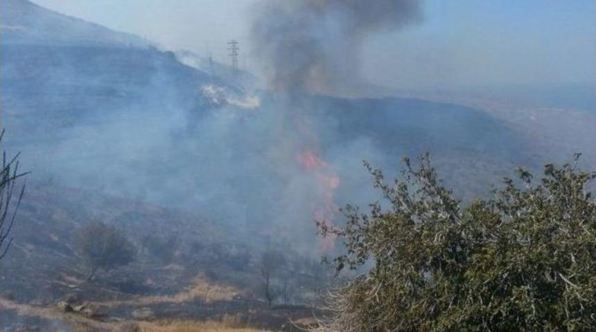 İzmir&rsquo;de Orman Yangını